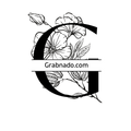  Charles Falls Store LLC